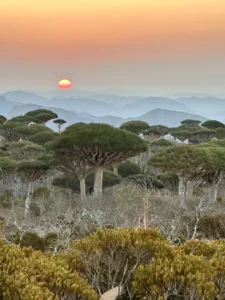 wchód słońca w Sokotrcie