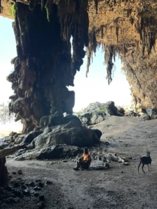 jaskinie w Sokotrcie