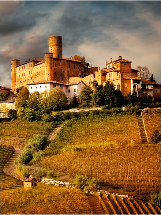 Wycieczka do Piemontu - Turyn, Pollenzo, Monferrato, Barolo. Włoskie winnice, degustacje i enoturystyka.
