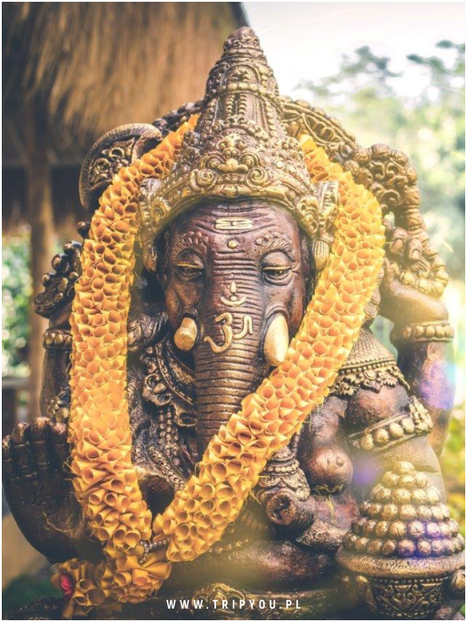 kafle-bali-03