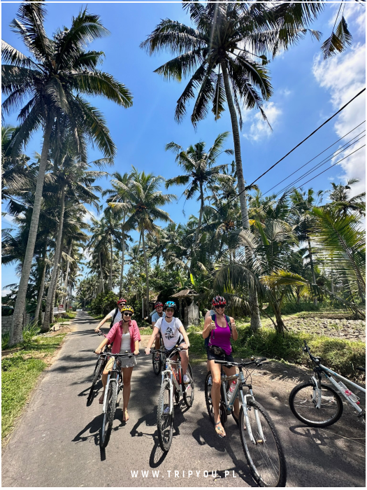 kafle-bali-08