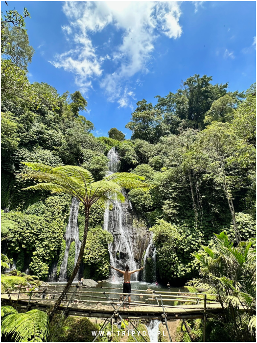 kafle-bali-09