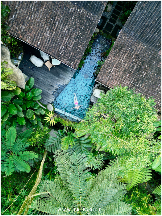 kafle-bali-10