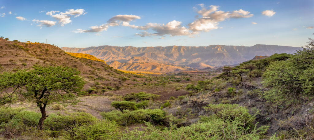 Etiopia, wyjazd, 2026